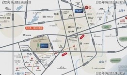 柳州楼叔爆料最新视频,揭秘惊人内幕！